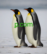 Load image into Gallery viewer, ᵱ, ᵱ.com, Ien teken domein sykjen, 1 letter aktive domein list. Binne d'r ien-letter-topnivo-domeinen? Ja, it is mooglik ien karakter te brûken foar domeinnamme op topnivo. De koartste ynternetdomeinen fan 'e wrâld binne beskikber!