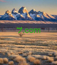 Load image into Gallery viewer, 𐤌 , 𐤌.com, Jednostavne cijene, uključeni dodaci, brzina, sigurnost, podrška, .com i .net, kvaliteta u kombinaciji s pouzdanošću, profesionalni alati, dinamički DNS, sintetički zapisi, TTL konfiguracija, do 100 poddomena, do 100 aliasa e-adresa, jedna -Kliknite DNSSEC, Zaštita privatnosti i više na 2-5.org