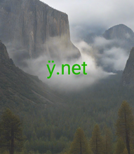 Load image into Gallery viewer, ӱ, ӱ.net, IDN Search - Get and Use International Domains, Are IDN Domains Supported at 2-5.org? Using Internationalized Domain Names domains at 2-5.org, Understanding IDN domains, IDNs work by encoding the domain name using a system called Punycode. When you wish to register an IDN domain, What is the shortest domain?