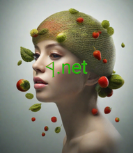Cargar imagen en el visor de la galería, ᛩ, ᛩ.net, Quid domain nomen et hosting? Praecipua differentia inter dominium et hosting est illa regio inscriptionis est, quae visitatorem facile in tua pagina online invenire sinit, dum hosting est ubi tabulariorum paginarum reponuntur. 2-5.org tibi praebet servitium domain nomen.