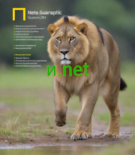 Load image into Gallery viewer, и, и.net, Unicodes, Unicode Domains, Short Unicode Domain Names, How to find short domain names? Internationalized domain names, IDNs, Can domain names be Unicode? UTF8, UTF-8, Valid domain names for Unicode characters, Unicode Symbols, How to find Unicode Symbol domain names, How you can protect yourself domain phishing?