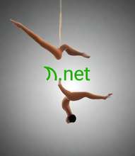 Load image into Gallery viewer, π, π.net, Accredited Registrar IDs, 3855 Hong Kong Juming Network Technology Co., Ltd, 3857 Dynu Systems Incorporated, 3859 Intellectual Property Management Company, Inc., 3860 WEDOS Internet, a.s., 3861 Purple IT Ltd, 3862 Spaceship, Inc., 3863 Domain International Services Limited, 3865 Community Advice s.r.o.