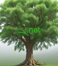 Cargar imagen en el visor de la galería, ܓ , ܓ.net, ICANN Valid TLDs, Domain Extensions, COMMBANK, COMMUNITY, COMPANY, COMPARE, COMPUTER, COMSEC, CONDOS, CONSTRUCTION, CONSULTING, CONTACT, CONTRACTORS, COOKING, COOKINGCHANNEL, COOL, COOP, CORSICA, COUNTRY, COUPON, COUPONS, COURSES, CPA, CR, CREDIT, CREDITCARD, CREDITUNION, CRICKET, CROWN, CRS, CRUISE, CRUISES