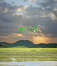 Cargar imagen en el visor de la galería, ꝿ, ꝿ.net, Làm thế nào để tìm một tên miền ngắn? Tìm kiếm & tìm tên miền ngắn. Chuyển hướng DNS là gì? Chuyển hướng DNS cho phép bạn trỏ tên miền này sang tên miền khác, đạt được kết quả tương tự như khi bạn thay đổi máy chủ định danh của tên miền ban đầu. Chuyển hướng một miền ngắn sang một miền khác bằng cách sử dụng 2-5.org