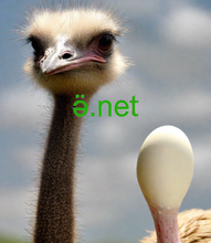 Load image into Gallery viewer, ӛ, ӛ.net, Domeinu-izen bat alokatu al dezaket? Domeinu-izen bat alokatzea normalean hilero gertatzen da, non zure enpresak dagoeneko beste entitate baten jabetzako domeinu-izen baten alokairua ordaintzen du. 2-5.org-ek domeinu-izenak azkar eta seguru alokatzea eskaintzen du.