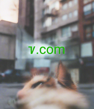 Cargar imagen en el visor de la galería, ꮴ, ꮴ.com, ერთი ასო დომენი, ერთი სიმბოლოს დომენი, ერთნიშნა დომენი, უიშვიათესი დომენური სახელები, დომენის სახელის გადამისამართება, დომენის ლიზინგი, Punycode დომენები, საპირისპირო აუქციონი, ხელმისაწვდომი დომენები, დომენის კატალოგი, დომენის შესანიშნავი სახელები, უდიდესი დომენის სახელები, საოცარი დომენის სახელები