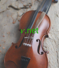 Load image into Gallery viewer, ⱱ, ⱱ.net, Căutare în domeniul unui singur caracter, listă de domenii active de 1 literă. Există domenii de nivel superior cu o singură literă? Da, este posibil să utilizați un singur caracter pentru numele de domeniu de nivel superior. Cele mai scurte domenii de internet din lume sunt disponibile!