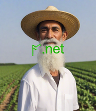 Cargar imagen en el visor de la galería, ᚪ, ᚪ.net, Bolehkah saya memajak nama domain? Penyewaan nama domain biasanya berlaku setiap bulan, di mana perniagaan anda membayar untuk penyewaan nama domain yang sudah dimiliki oleh entiti lain. 2-5.org menyediakan untuk memajak nama domain dengan cepat dan selamat.