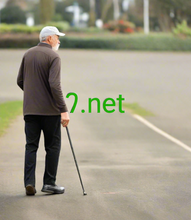 Cargar imagen en el visor de la galería, 𐤐 , 𐤐.net, IANA Accredited Registrar IDs, 1164 Betterthanaveragedomains.com LLC, 1165 Biglizarddomains.com LLC, 1166 BullRunDomains.com LLC, 1167 Allworldnames.com LLC, 1168 Burnsidedomains.com LLC, 1169 Columbianames.com LLC, 1170 Compuglobalhypermega.com LLC, 1171 Deschutesdomains.com LLC, 1172 Domainamania.com LLC