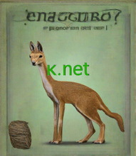 Cargar imagen en el visor de la galería, ĸ, ĸ.net, Doménové meno, jednoznakové doménové meno. Registro de dominios de una sola letra, Dominios cortos para sitios web, Mejores dominios cortos disponibles, Herramientas de búsqueda de dominios cortos, Encontrar dominios cortos para empresas, Dominios cortos y creativos, Comprar dominios cortos y valiosos, 24