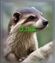 Load image into Gallery viewer, ṓ, ṓ.net, Domainnamen - Die besten domain - Beste Domain wählen und benennen! Remote work and collaboration domain names, Online grocery delivery services domain names, EdTech platforms domain names, Financial planning and advisory domain names, Environmental impact assessment domains, Custom apparel printing domains