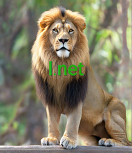 Load image into Gallery viewer, ǀ, ǀ.net, ʻAno hoʻokahi, 1 leka, pōkole, kū hoʻokahi, nā inoa kikowaena premium. उपलब्ध छोटे डोमेन नाम खोजें, उपलब्ध छोटे डोमेन नाम खोजना और 1-एकल अक्षर डोमेन प्राप्त करना