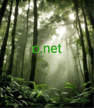 Cargar imagen en el visor de la galería, ɒ, ɒ.net, Toetra tokana, litera 1, fohy, tokana, anarana domaine premium. 짧은 도메인 네임 찾기 , 짧은 도메인 네임과 1-단일 문자 도메인을 찾는 작업은 경쟁이 치열할 수 있으며 인내심, 유연성 및 전문적인 지식을 요구할 수 있습니다. 도메인 전문가들이나 시장의 선두주자들과의 협력은 지원을 제공하고 새로운 기회를 제공할 수 있으며 목표 달성과 강력한 온라인 존재감 구축에 도움을 줄 수 있습니다.