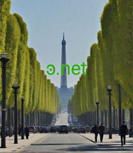 Load image into Gallery viewer, ͽ, ͽ.net, What type is unicode? Unicode characters are represented in one of 3 encoding forms: a 32-bit form (UTF-32), a 16-bit form (UTF-16), an 8-bit form (UTF-8). These character encoding standards define not only the identity of each character and its numeric value but also how this value is represented in bits.