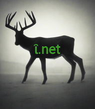 Cargar imagen en el visor de la galería, ῖ, ῖ.net, Domain IDN, jeneng domain multibasa, *Lalu lintas paling dhuwur *SEO Solid *Subdomain khusus *Layanan email profesional *IP unik *Privasi & proteksi sing kuat *DNSSEC gratis *Infrastruktur sing cepet, aman & dipercaya *ROI sing luwih apik *Dhukungan 7/24 , Compatible domain names for Opera, Compatible domain names for Internet Explorer