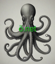 Load image into Gallery viewer, ὄ, ὄ.net, IDN-domeenid, mitmekeelsed domeeninimed, *Kõige suurem liiklus. Compatible domain names for Avast Secure Browser, Compatible domain names for Yandex Browser, Compatible domain names for Safari Technology Preview, Compatible domain names for Epic Privacy Browser, Compatible domain names for Midori, Opera