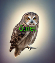 Cargar imagen en el visor de la galería, ὅ, ὅ.net, IDN-domeinen, meertalige domeinnamen, *Het hoogste verkeer *Solide SEO *Aangepaste subdomeinen *Professionele e-mailservice *Uniek IP *Sterke privacy en bescherming *Gratis DNSSEC *Snelle, veilige en betrouwbare infrastructuur *Betere ROI *7/24 Ondersteuning
