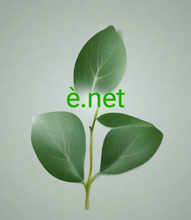 Load image into Gallery viewer, ѐ, ѐ.net, अपना स्थान ऑनलाइन खोजें। 3000 से अधिक डोमेन में से चुनें। वास्तविक मनुष्यों से 24/7 सहायता प्राप्त करें। 2-5.org क्यों? - गुणवत्ता, विश्वसनीयता से मिलें। - अधिक पेशेवर। कम जटिल। - संवर्धित मूल्य। कोई अतिरिक्त लागत नहीं। - डोमेन सभी ब्राउज़रों के साथ संगत हैं।