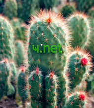 Cargar imagen en el visor de la galería, ҹ, ҹ.net, Знайдіть своє місце онлайн. Вибирайте з понад 3000 доменів. Отримайте цілодобову підтримку від справжніх людей. Чому 2-5.org? - Якість, відповідати надійності. - Більш професійно. Менш складний. - Додану вартість. Без додаткових витрат. - Домени сумісні з усіма браузерами.