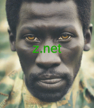 Load image into Gallery viewer, ᴢ, ᴢ.net, Шта је име домена и хостинг? Главна разлика између домена и хостинга је у томе што је домен адреса, која омогућава посетиоцу да лако пронађе вашу веб локацију на мрежи, док је хостинг место где се чувају датотеке веб странице. 2-5.орг вам пружа услугу имена домена.