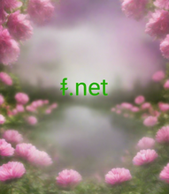 Load image into Gallery viewer, ᵮ, ᵮ.net, Kërkimi i domenit me një karakter, lista aktive e domenit me 1 shkronjë. A ka domene të nivelit të lartë me një shkronjë të vetme? Po, është e mundur të përdoret një karakter i vetëm për emrin e domenit të nivelit të lartë. Domenet më të shkurtra të internetit në botë janë në dispozicion!