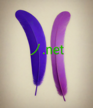 Load image into Gallery viewer, ノ, ノ.net