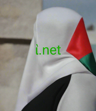 Load image into Gallery viewer, ὶ.net