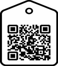 Load image into Gallery viewer, ṗ, ṗ.net, LATIN SMALL LETTER P WITH DOT ABOVE