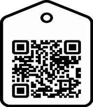 Load image into Gallery viewer, ṿ, ṿ.com, LATIN SMALL LETTER V WITH DOT BELOW