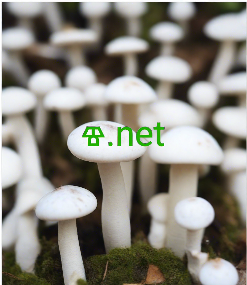 ⱖ, ⱖ.net, Dominio de 1 letra, Dominio de 1 carácter, Dominio de 1 díxitos, Os nomes de dominio máis curtos, Aluguer un nome de dominio, Redirección de dominio, Dominios Unicode, Poxa de dominios, Nomes de dominio activos, Dominios curtos, Arquivo de nomes de dominio, Os nomes de dominio máis baratos, O dominio máis xenial nome, nomes de dominio marabillosos