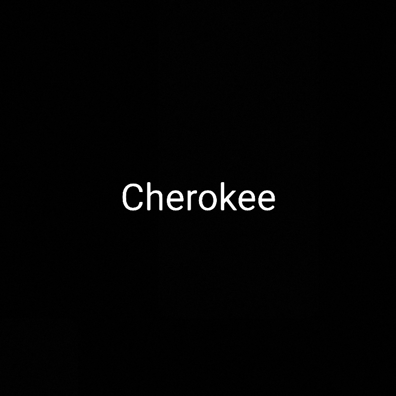 2-5.org, Cherokee domain names, Cherokee language, Cherokee syllabary, Cherokee alphabet, Cherokee script, Cherokee heritage, Cherokee language preservation, Cherokee writing system, Cherokee language resources, Cherokee language learning, Cherokee Nation, Cherokee culture, Cherokee history, Cherokee people, Linguistic