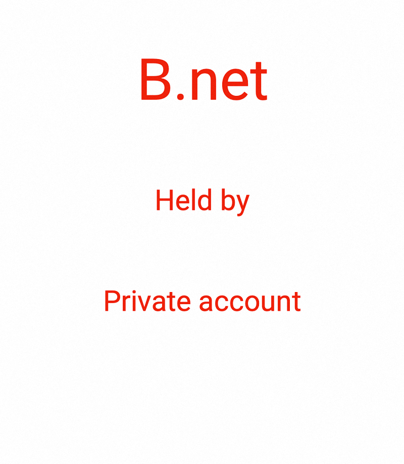 𐊡, 𐊡.net