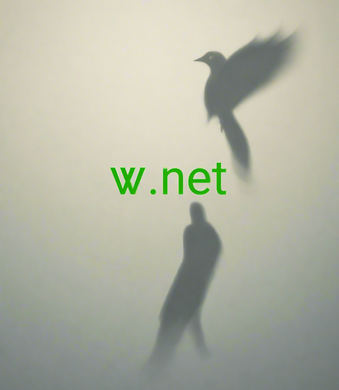 ꮤ, ꮤ.net, Domeni me një shkronjë, Domeni me një karakter, Domeni njëshifror, Emrat më të rrallë të domenit, Ridrejtimi i një emri domeni, Dhënia me qira e domenit, Domenet Punycode, Ankandi i kundërt, Domenet e disponueshme, Katalogu i domenit, Emrat e shkëlqyer të domenit, Emrat më të mëdhenj të domenit, Emrat e mahnitshëm të domenit