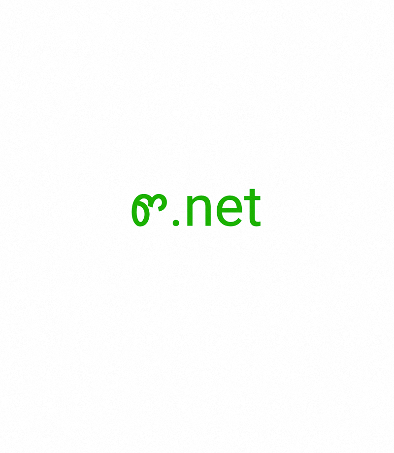 ꮫ, ꮫ.net, 单字母域, 单字符域, 个位数域, 最稀有的域名, 重定向域名, 域租赁, Punycode 域, 反向拍卖, 可用域, 域目录, 优秀的域名, 最伟大的域名, 惊人的域名