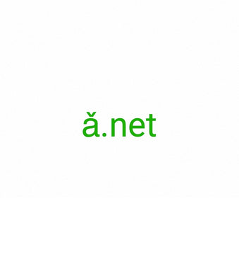 ǎ, ǎ.net, Domain names identify one or more IP addresses and are used in URLs to identify web pages. 1-Buchstaben-Domain-Umschlag, 1-Buchstaben-Domain-Strategien, 1-Buchstaben-Domain-SEO, Kurze Domain-Trends, 1-Buchstaben-Domain-Schlüsselwörter, 1-Buchstaben-Domain-Registrierung, 1-Buchstaben-Domain-Branche-Nachrichten